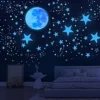 Glow in The Dark Stars for Ceiling,Star