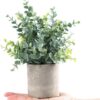 2 Pack Small Fake Plants Eucalyptus Potted