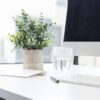 2 Pack Small Fake Plants Eucalyptus Potted